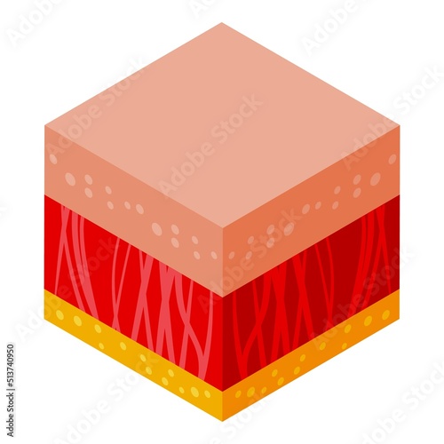 Skin icon isometric vector. Cell molecule. Age protein