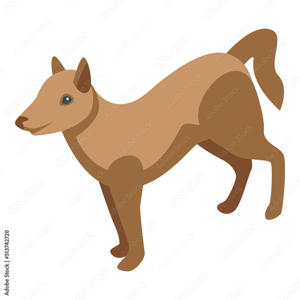 Shiba dog icon isometric vector. Spa grooming. Wash puppy Shiba dog icon isometric vector. Spa grooming. Wash puppy