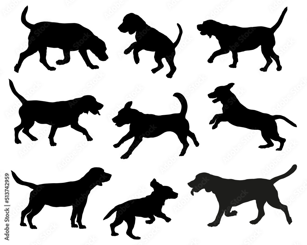Group of beagles in various poses. Black dog silhouette. Running, standing, sniffing, jumping beagles. Isolated on a white background. Pet animals. Vector illustration.