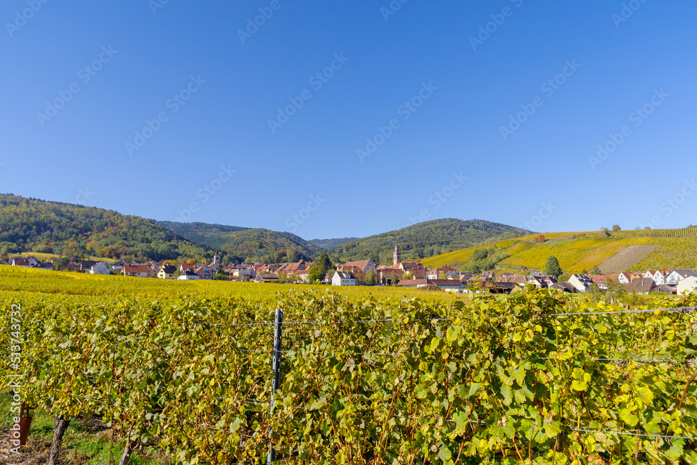 Riquewihr village from across vineyard, France