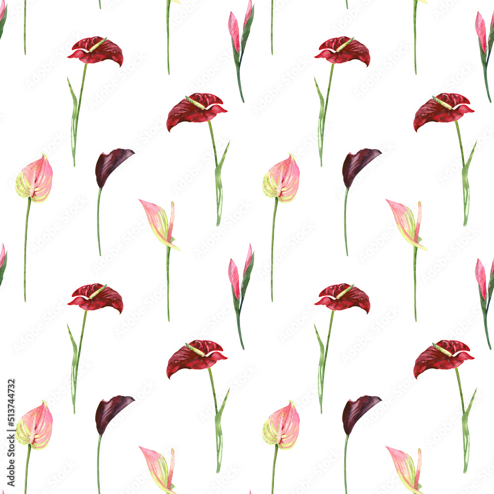 Hand painted watercolor floral bouquet. Anthurium flowers illustration