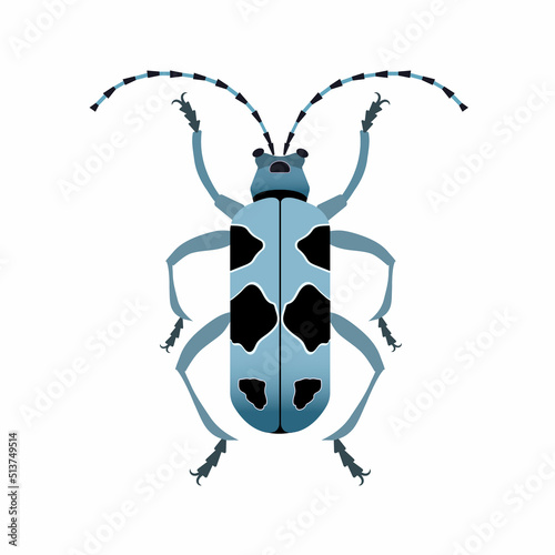 Colorful Alpine longhorn beetle Icon in flat design.