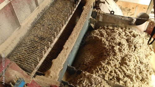mill processing sugar cane industry