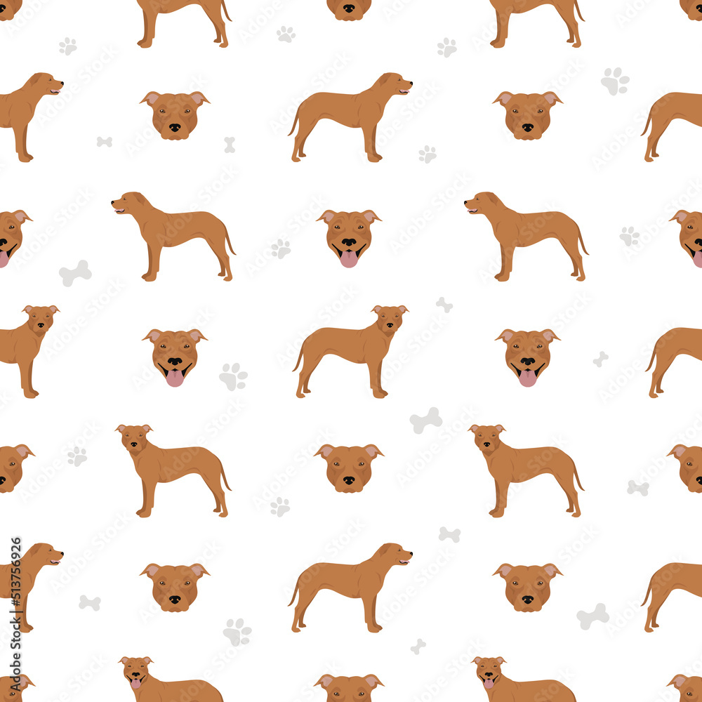 American pit bull terrier dogs seamless pattern. Color varieties, infographic