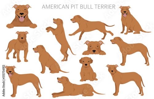 Fotomurale American pit bull terrier dogs clipart