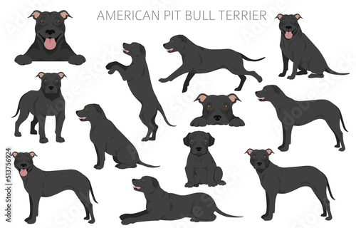Fotobehang American pit bull terrier dogs clipart