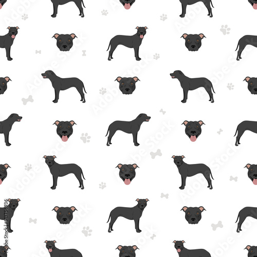 American pit bull terrier dogs seamless pattern. Color varieties, infographic