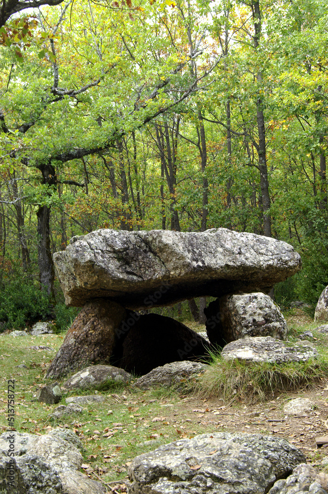 Dolmen de Cornudella.(Dolmen de la cabaneta del Forno)Bosque de Transás.Pirineo Aragones.Huesca.España. Dolmen de Cornudella.(Dolmen de la cabaneta del Forno)Bosque de Transás.Pirineo Aragones.Huesca.España.