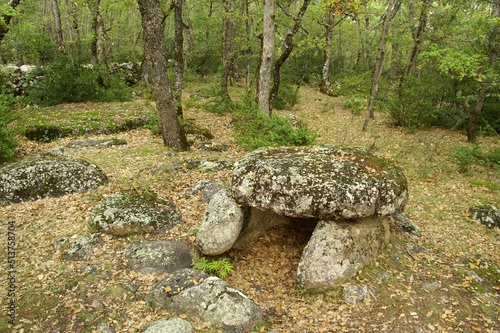 Dolmen de Cornudella.(Dolmen de la cabaneta del tancat de dallt)Bosque de Transás.Pirineo Aragones.Huesca.España. photo