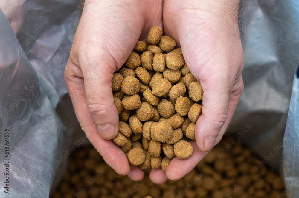 Pellets of dog food spilled out of the men's hands. A middle-aged man's hands hold brown round pellets in handfuls. The food falls into an open bag. Blurred motion. Close-up. Selective focus. Pellets of dog food spilled out of the men's hands. A middle-aged man's hands hold brown round pellets in handfuls. The food falls into an open bag. Blurred motion. Close-up. Selective focus.