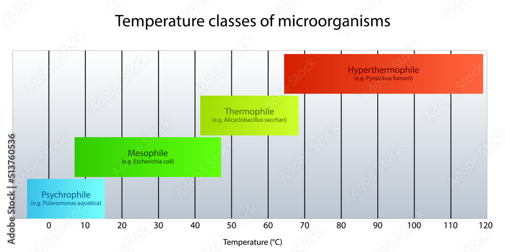 diagramme des thermophiles