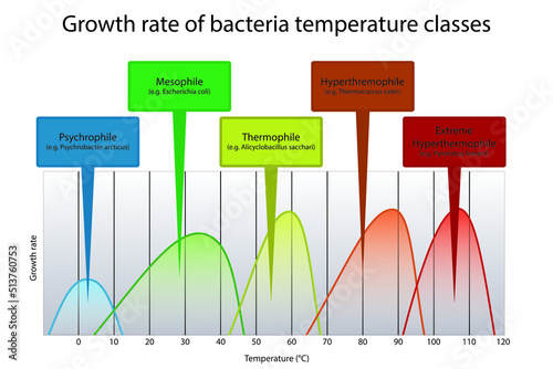 Diagram of microorganism optimal temperature range - Psychrophile, Mesophile, Thremophile and Hyperthermophile growth rates with example bacteria.