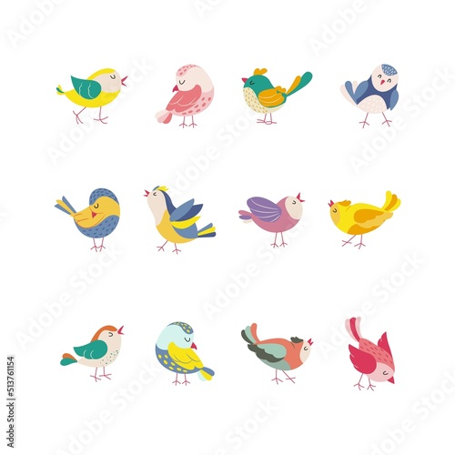 Funny colored birds in different poses set. Exotic birds collection. Vector illustration in flat style.