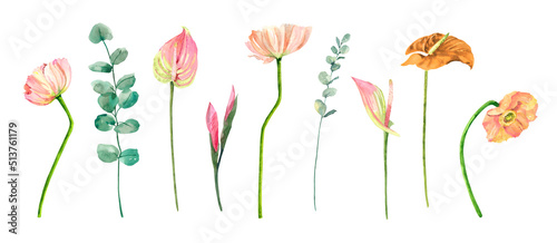 Hand painted watercolor floral bouquet. Iceland Poppies  anthurium  eucalyptus and blue flowers illustration isolated on white l background.