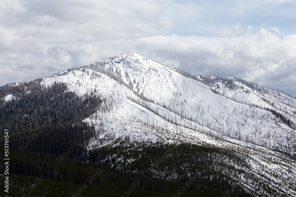 Snowy Mountain in the American Landscape. Yellowstone National Park, Wyoming. United States. Nature Background.