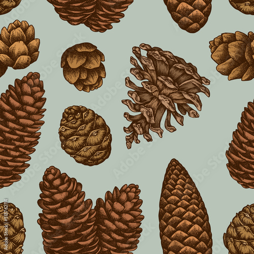 Mysterious forest seamless pattern background design. Engraved style. Hand drawn pine cones.