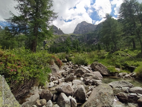 Cima d’Asta  is the highest mountain of the Fiemme Mountains in the eastern part of the Italian province of Trentino © logan81