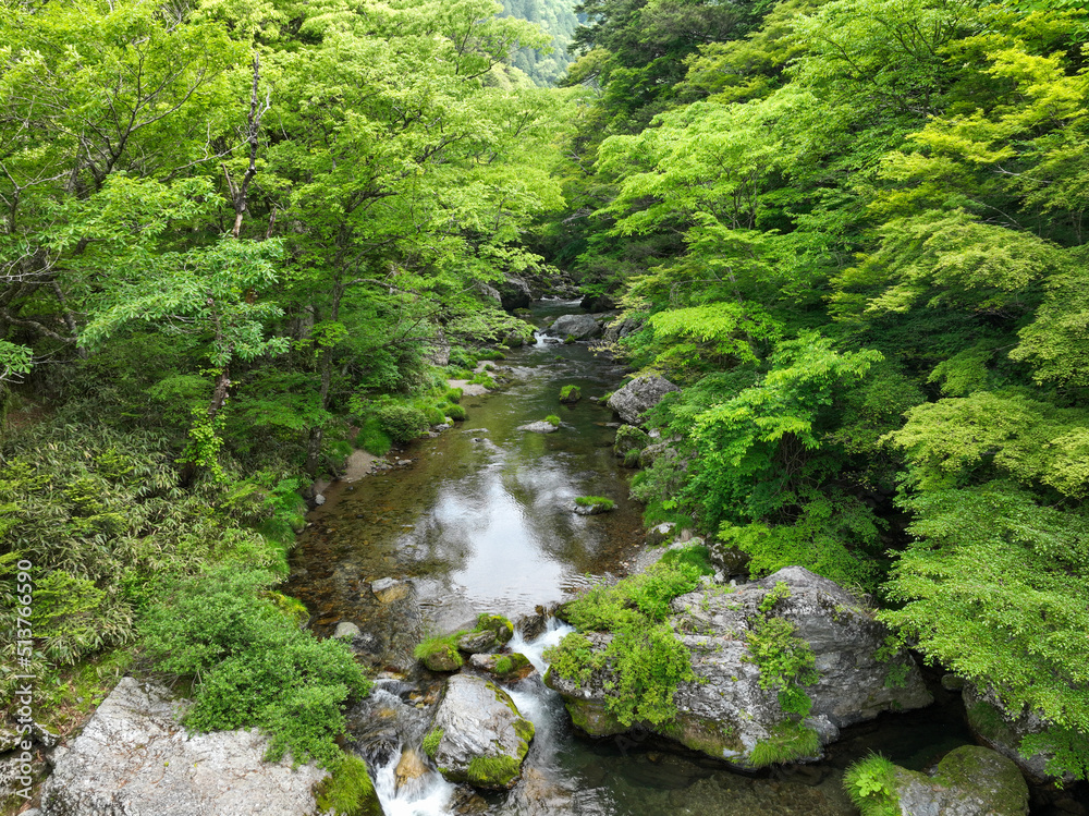 愛媛県内子町　小田深山渓谷　深山荘周辺の風景