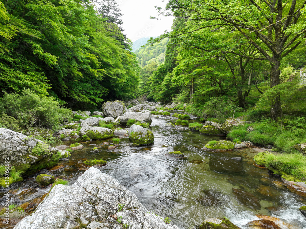 愛媛県内子町　小田深山渓谷　深山荘周辺の風景