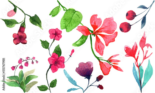 Watercolor floral flower elements set	