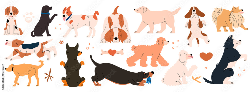 Dogs pose emotion pattern. Set of cute different breeds of animals. Set of cute different breeds of animals. Collection of funny portraits of active characters. Vector illustration in flat style
