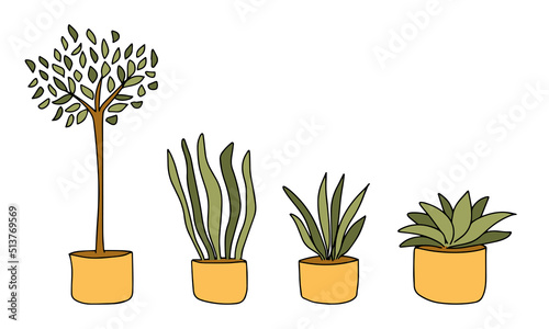 Set of isolated home plants in pots for decor your living room or office. Potted plants bundle, house plants. Vector collection