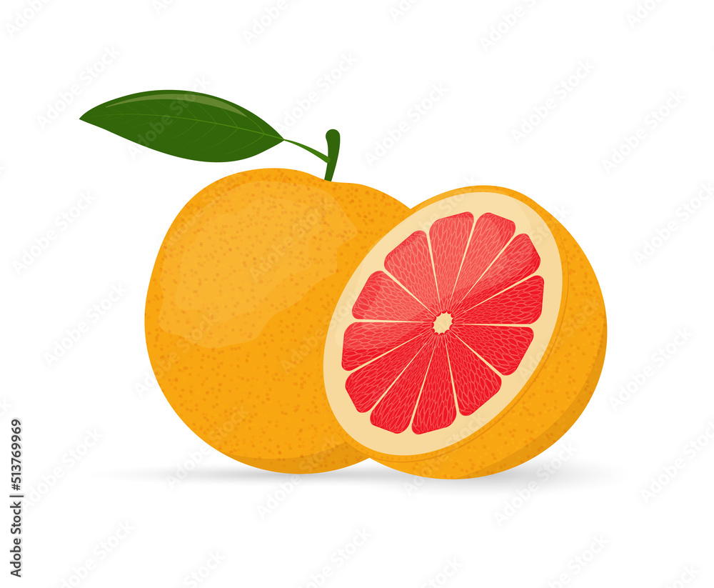 Grapefruit whole and cut in half vector illustration Grapefruit whole and cut in half vector illustration