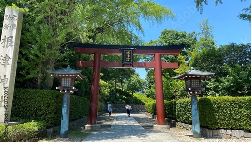 Entry gate of    Nezu    shrine  red Torii gate and the stone pavement that leads to the main shrine.  Year 2022 June 28th sunny Tokyo Japan