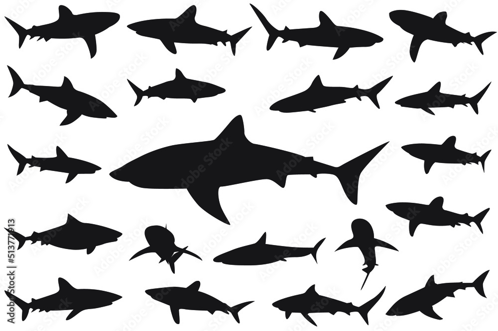 shark silhouette, Set of sharks. collection of silhouettes of predatory swimming marine fish shark silhouette, Set of sharks. collection of silhouettes of predatory swimming marine fish