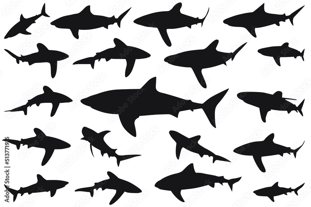 Fototapeta premium shark silhouette, Set of sharks. collection of silhouettes of predatory swimming marine fish