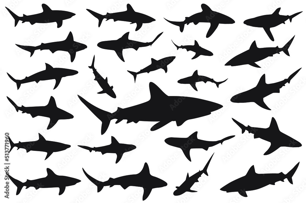 shark silhouette, Set of sharks. collection of silhouettes of predatory swimming marine fish shark silhouette, Set of sharks. collection of silhouettes of predatory swimming marine fish