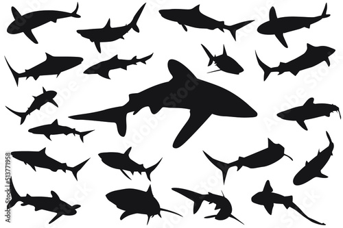 shark silhouette, Set of sharks. collection of silhouettes of predatory swimming marine fish