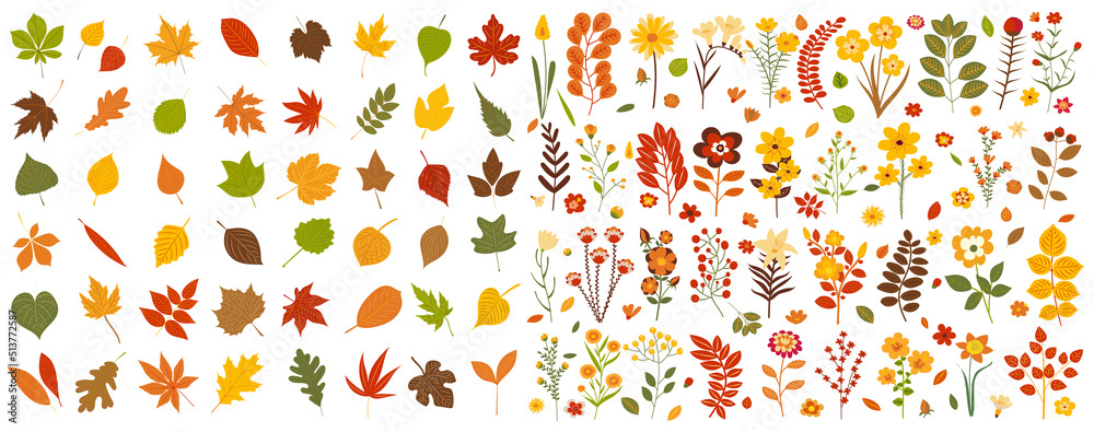 leaves, flowers set, autumn in flat design, isolated vector - obrazy, fototapety, plakaty 