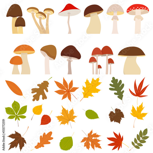 Fototapeta mushrooms with leaves set, autumn in flat design, isolated vector