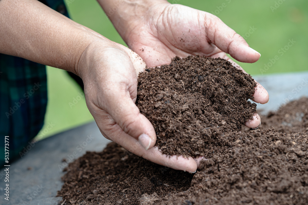 Hand holding peat moss organic matter improve soil for agriculture organic plant growing, ecology concept. Hand holding peat moss organic matter improve soil for agriculture organic plant growing, ecology concept.