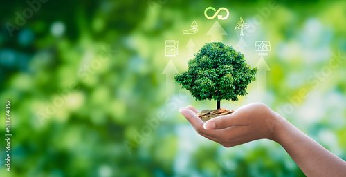 Hand hold the tree grows on pile money with circular economy icon,The concept of eco infinity, Renewable enwergy and circular economy for future growth of business and environment sustainable. photo