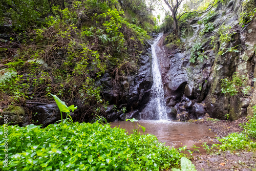 La Gomera, island of lush forests, incredible greens, water, rivers, sun and beach.

