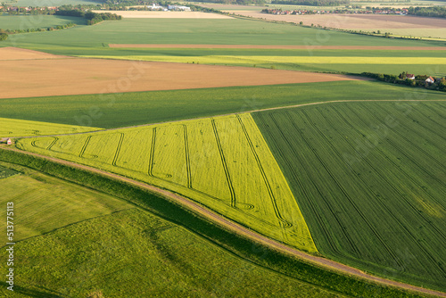 Agricultural fields in spring from above