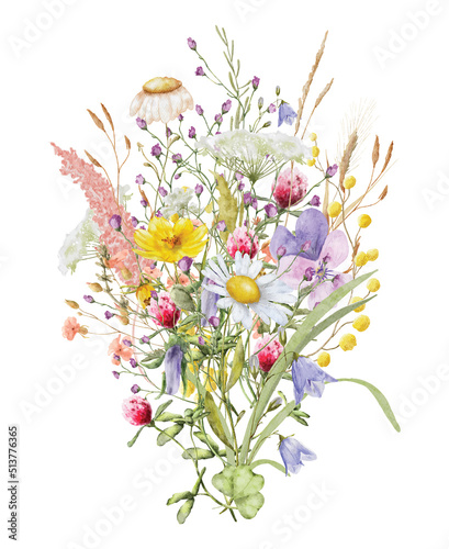 Wild flowers watercolor bouquet botanical hand drawn illustration