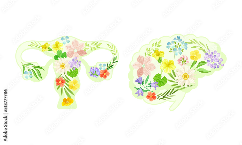 Female reproductive system and brain made of beautiful blooming flowers. Healthy human internal organs vector illustration Female reproductive system and brain made of beautiful blooming flowers. Healthy human internal organs vector illustration