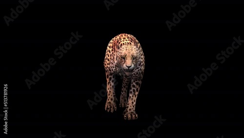 Cheetah Front View Loop Walk, Animation.Full HD 1920×1080. 08 Second Long.Transparent Alpha Video. LOOP. photo