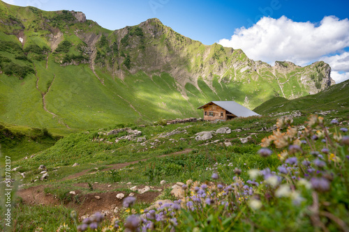 Alpenwiese in oberallgäuer Alpen mit einer Hütte - Wanderweg zum Schrecksee in Hinterstein, Bad Hindelang, Oberallgäu, Bayern, Deutschland