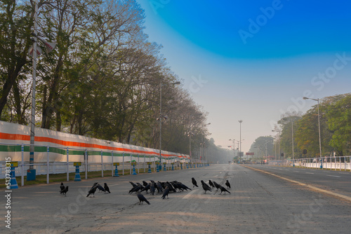 Kolkata  West Bengal  India - 23rd January 2018   View of empty Red Road in the morning with blue sky above. The crows have gathered together due to no traffic on the busy road.