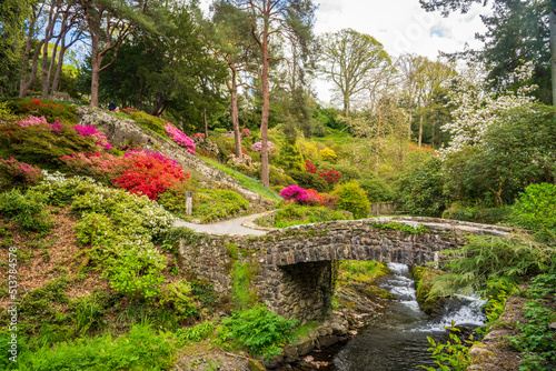 Gorgeous colors of the azeleas and rhododendron flowers and bushes along stream valley in delightful garden in the spring