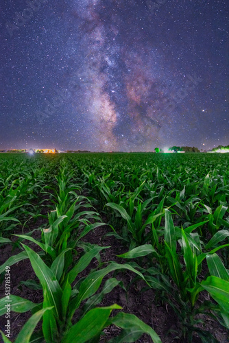 Cornfield Under The Milky Way