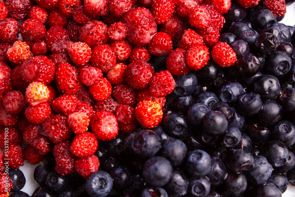 wild strawberries and blueberries, fresh wild berries wild strawberries and blueberries, fresh wild berries