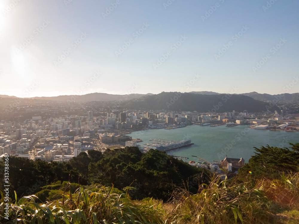 Wellington, New Zealand. Lookout Piont from Mount Victoria. Panoramic View of Sunny Wellington City, Harbour and Green Hills .