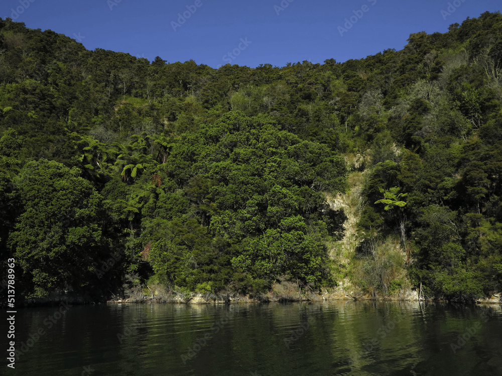 Green Hill Covered with Trees with a Cliff Descending Into a Blue Lake. Landscape Without People. New Zealand Landscape with Rotomahana Lake.