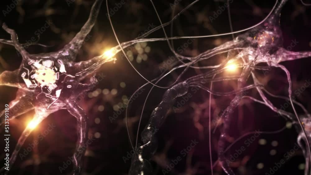 Animation of Neuron Cells with Glowing Links. Synapse. Journey Through a Colorful Network Of Nerve Cells With Impulses Passing By. Loopable.

