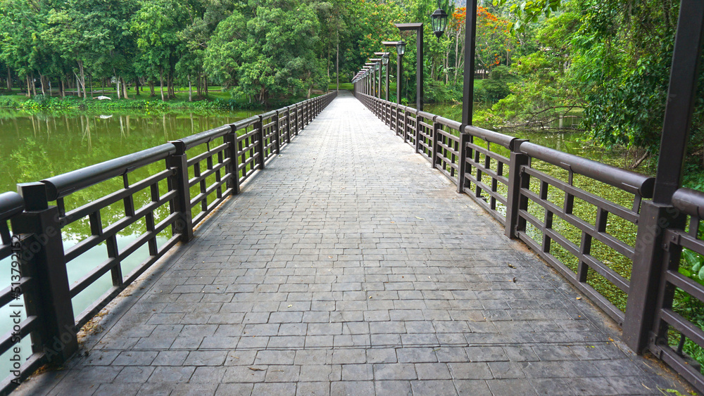 Bridge in the middle of the river crossing to nature with green trees at the destination, view, shady